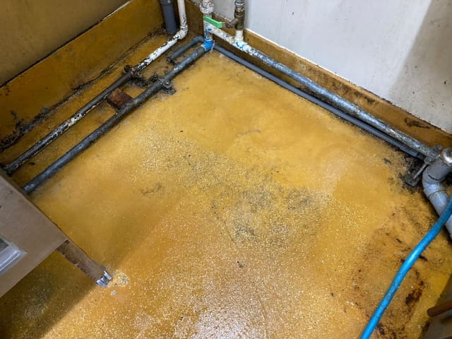 居酒屋チェーン店 厨房床清掃 施工後