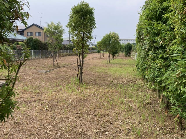 施設敷地周辺の草刈り 施工後